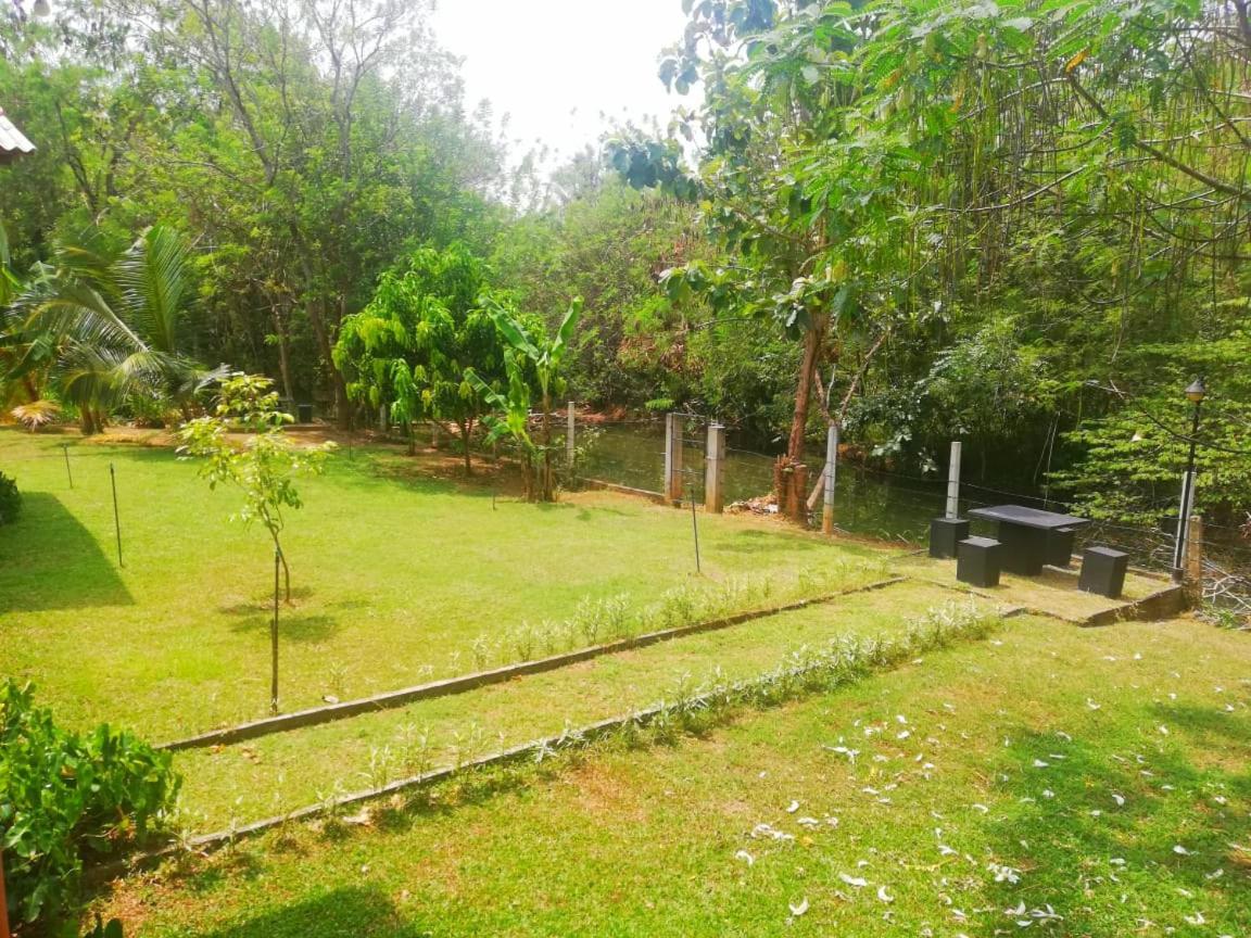 Nil Bawana Nature Resort Udawalawe Zewnętrze zdjęcie