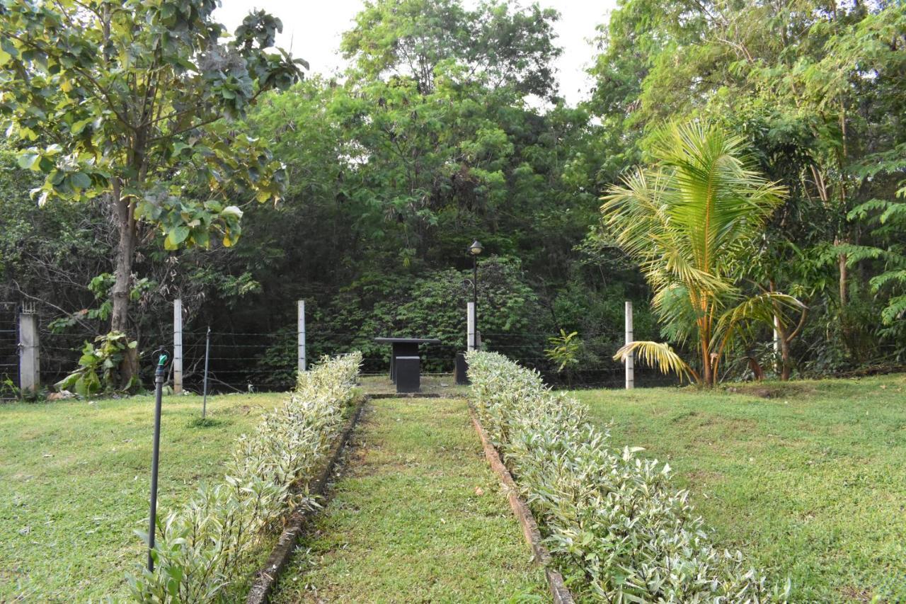Nil Bawana Nature Resort Udawalawe Zewnętrze zdjęcie