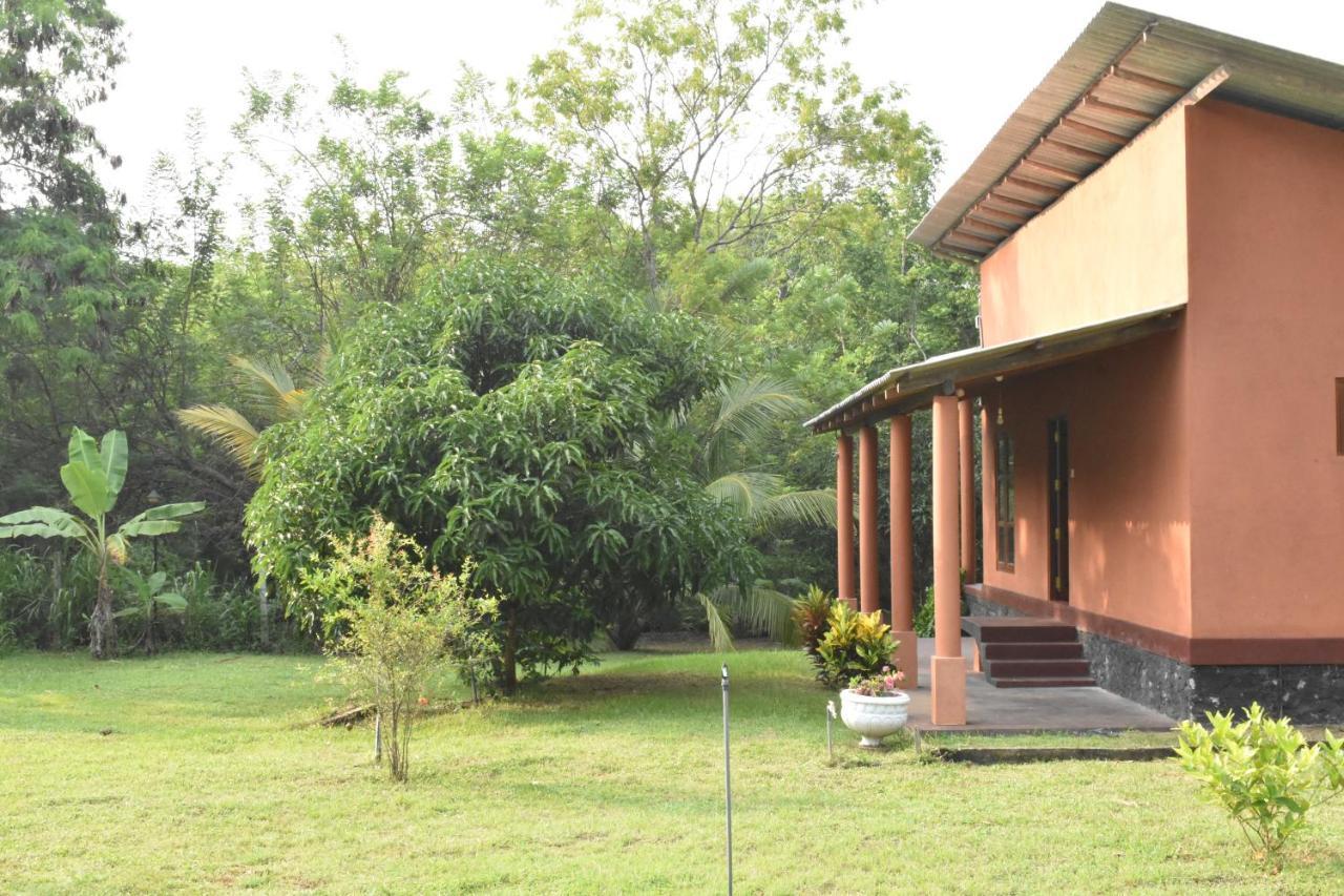 Nil Bawana Nature Resort Udawalawe Zewnętrze zdjęcie