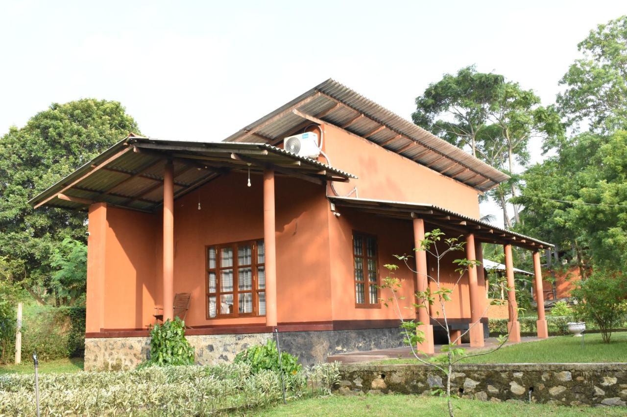 Nil Bawana Nature Resort Udawalawe Zewnętrze zdjęcie